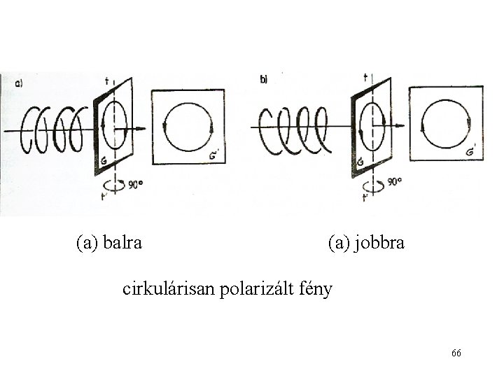 (a) balra (a) jobbra cirkulárisan polarizált fény 66 