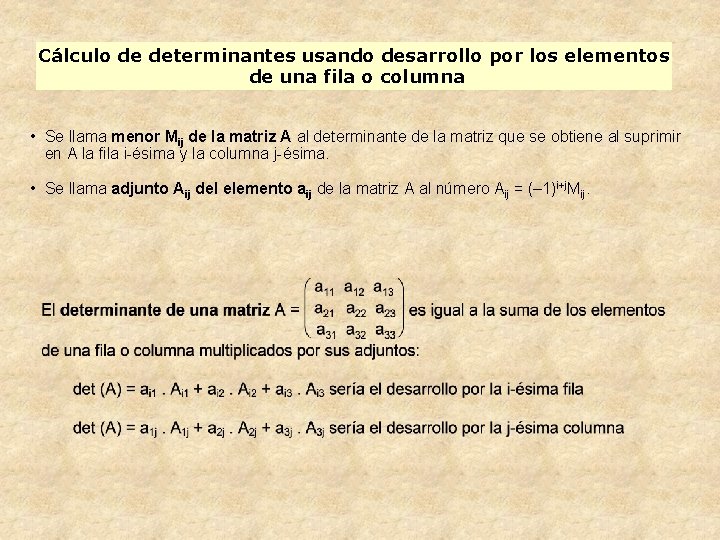 Cálculo de determinantes usando desarrollo por los elementos de una fila o columna •