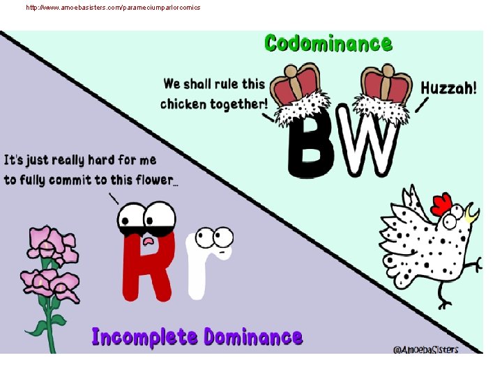 http: //www. amoebasisters. com/parameciumparlorcomics 