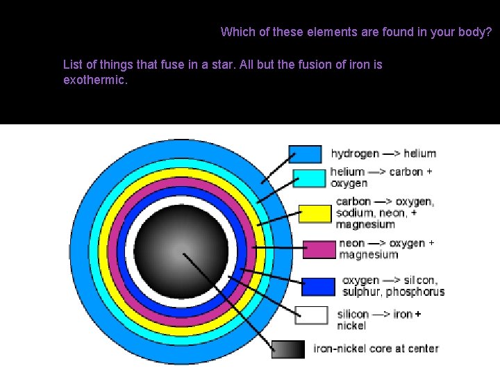 Which of these elements are found in your body? List of things that fuse