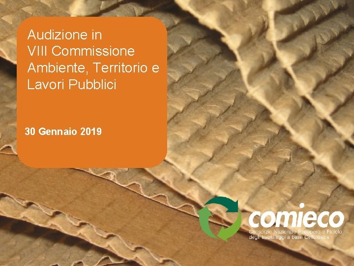 Audizione in VIII Commissione Ambiente, Territorio e Lavori Pubblici 30 Gennaio 2019 1 www.