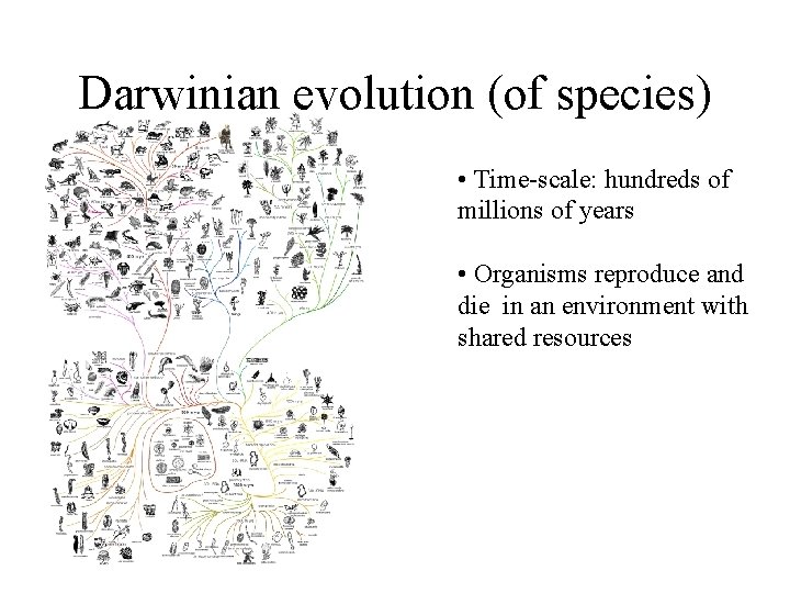 Darwinian evolution (of species) • Time-scale: hundreds of millions of years • Organisms reproduce