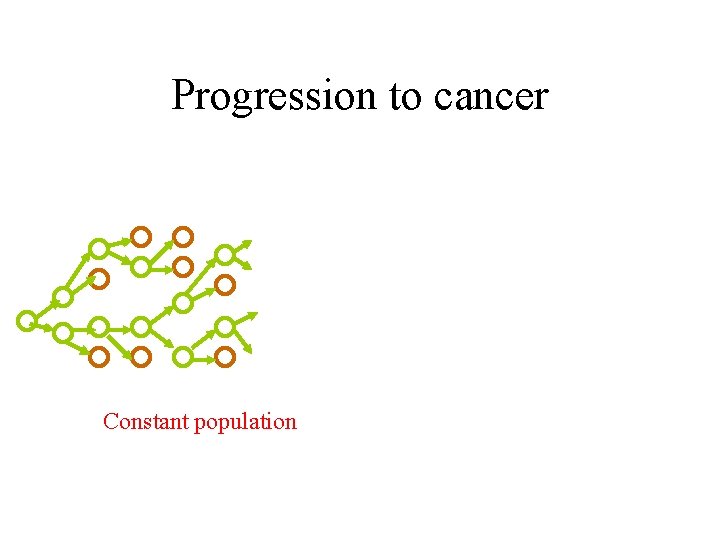 Progression to cancer Constant population 
