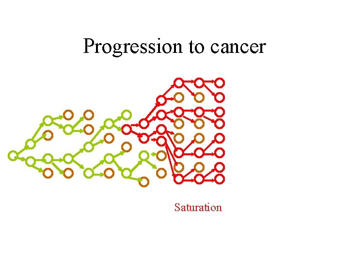Progression to cancer Saturation 