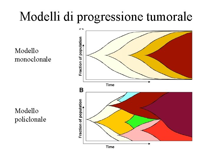 Modelli di progressione tumorale Modello monoclonale Modello policlonale 