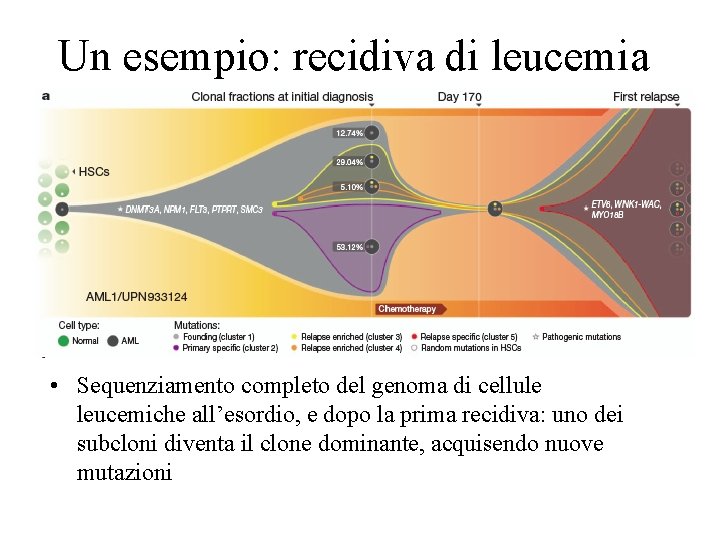 Un esempio: recidiva di leucemia • Sequenziamento completo del genoma di cellule leucemiche all’esordio,