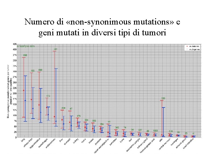Numero di «non-synonimous mutations» e geni mutati in diversi tipi di tumori 