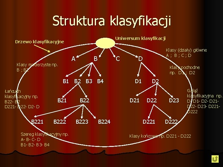 Struktura klasyfikacji Uniwersum klasyfikacji Drzewo klasyfikacyjne A Klasy macierzyste np. B ; B 2