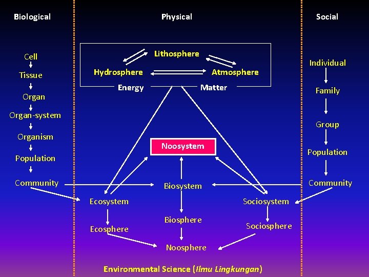 Biological Physical Cell Lithosphere Tissue Organ Social Hydrosphere Energy Atmosphere Matter Individual Family Organ-system