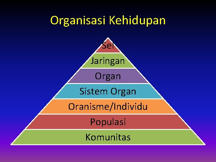 Organisasi Kehidupan Sel Jaringan Organ Sistem Organ Oranisme/Individu Populasi Komunitas 