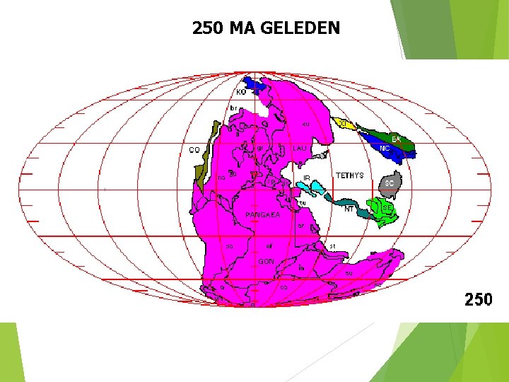 250 MA GELEDEN 