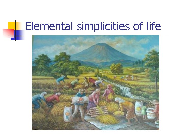Elemental simplicities of life 