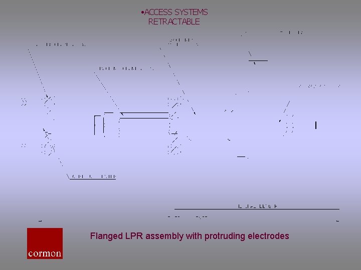  • ACCESS SYSTEMS RETRACTABLE Flanged LPR assembly with protruding electrodes 