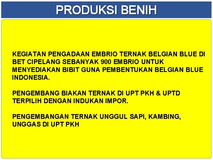 PRODUKSI BENIH KEGIATAN PENGADAAN EMBRIO TERNAK BELGIAN BLUE DI BET CIPELANG SEBANYAK 900 EMBRIO