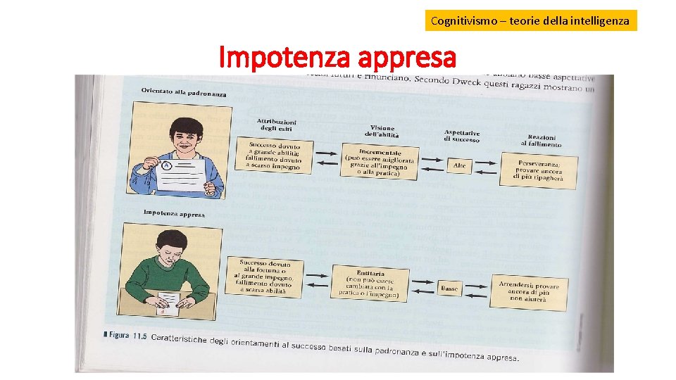 Cognitivismo – teorie della intelligenza Impotenza appresa 