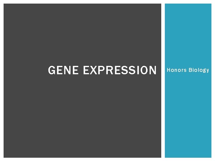 GENE EXPRESSION Honors Biology 