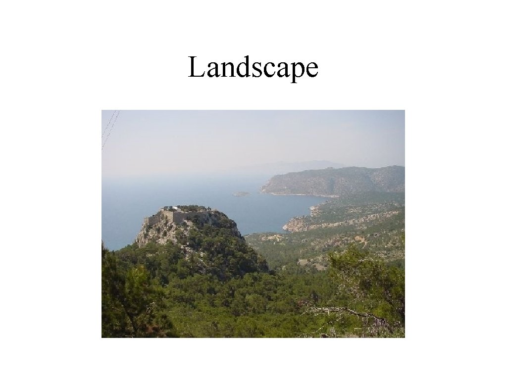 Landscape 