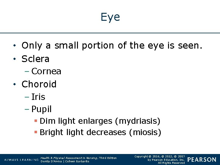 Eye • Only a small portion of the eye is seen. • Sclera –