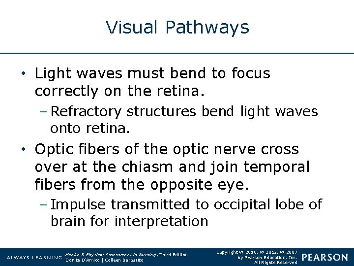 Visual Pathways • Light waves must bend to focus correctly on the retina. –