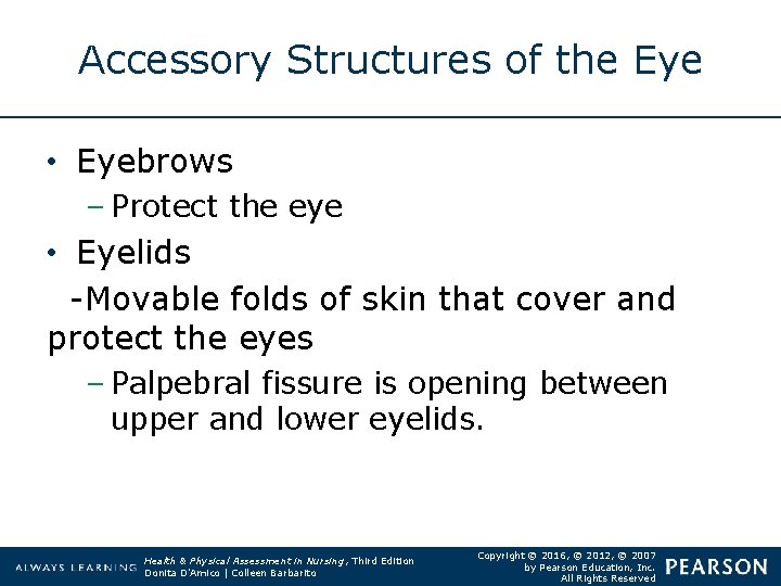 Accessory Structures of the Eye • Eyebrows – Protect the eye • Eyelids -Movable