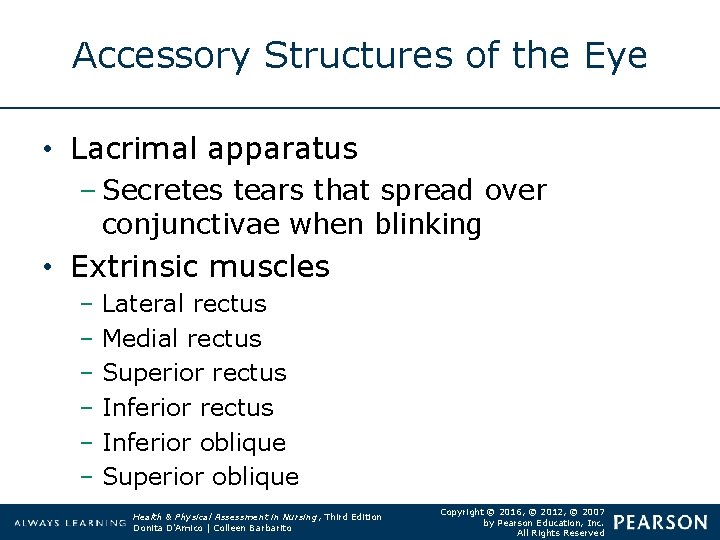 Accessory Structures of the Eye • Lacrimal apparatus – Secretes tears that spread over