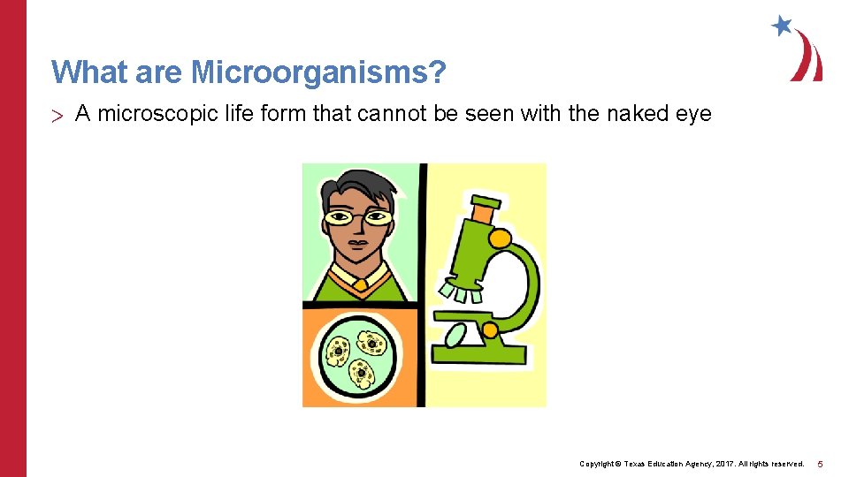 What are Microorganisms? > A microscopic life form that cannot be seen with the