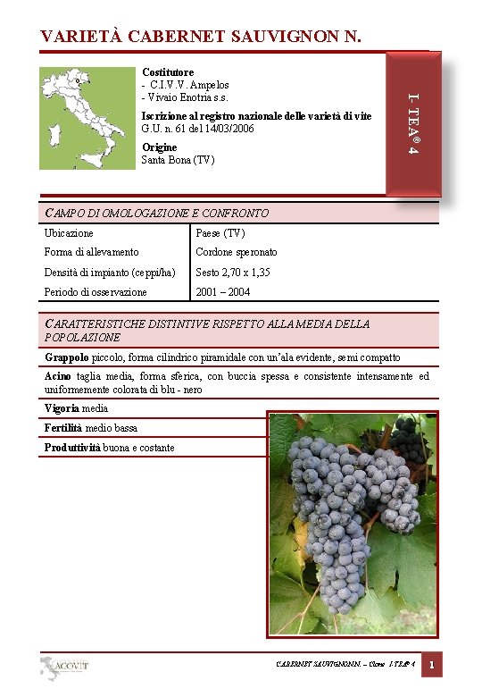 VARIETÀ CABERNET SAUVIGNON N. Iscrizione al registro nazionale delle varietà di vite G. U.