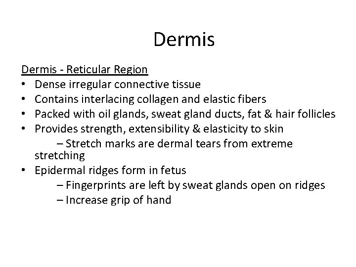 Dermis - Reticular Region • Dense irregular connective tissue • Contains interlacing collagen and