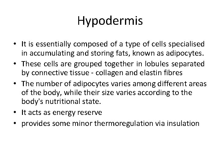 Hypodermis • It is essentially composed of a type of cells specialised in accumulating