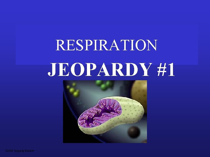 RESPIRATION JEOPARDY #1 S 2 C 06 Jeopardy Review 