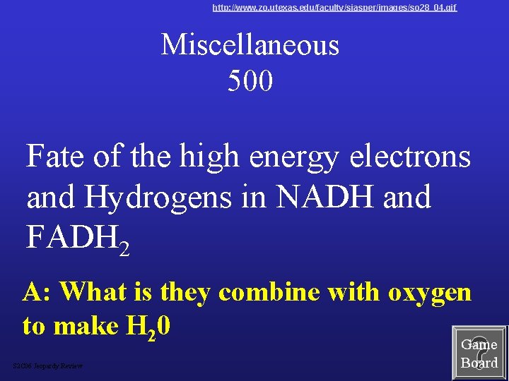 http: //www. zo. utexas. edu/faculty/sjasper/images/so 28_04. gif Miscellaneous 500 Fate of the high energy