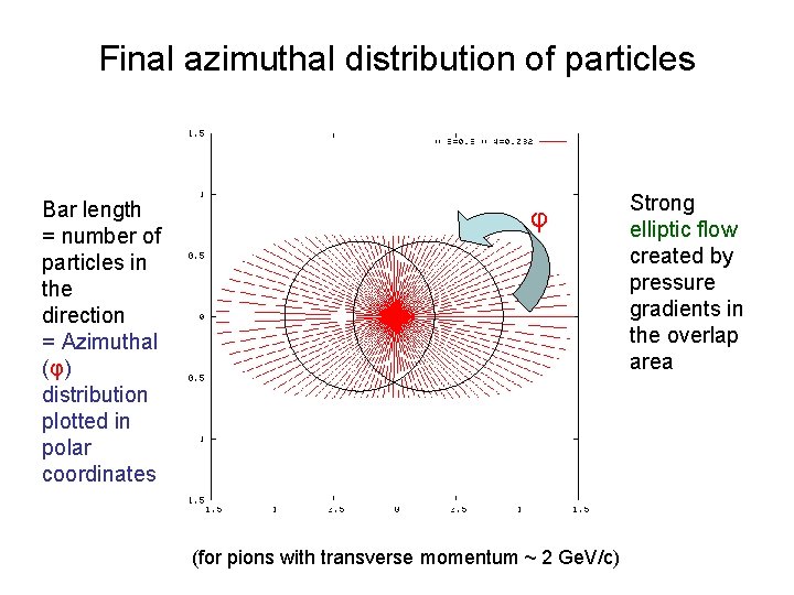 Final azimuthal distribution of particles Bar length = number of particles in the direction