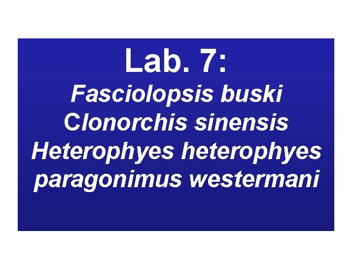 Lab. 7: Fasciolopsis buski Clonorchis sinensis Heterophyes heterophyes paragonimus westermani 