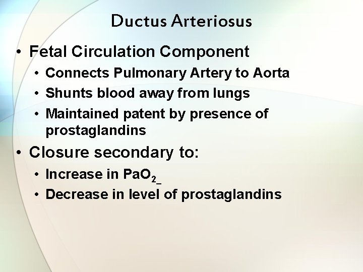 Ductus Arteriosus • Fetal Circulation Component • Connects Pulmonary Artery to Aorta • Shunts