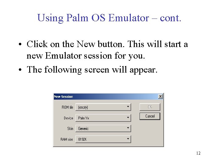 Using Palm OS Emulator – cont. • Click on the New button. This will