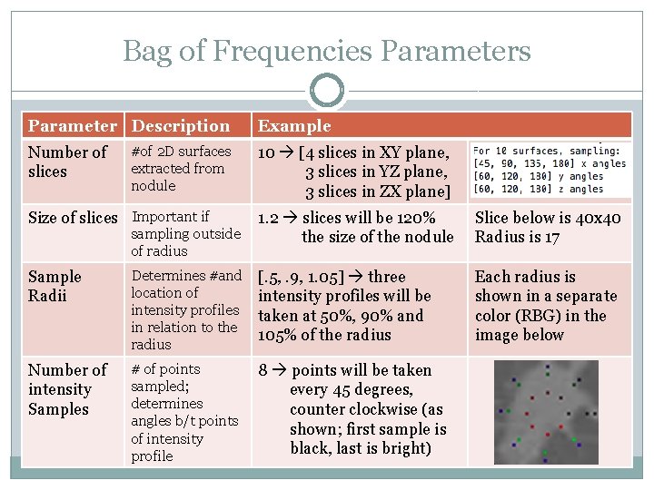 Bag of Frequencies Parameter Description Number of slices #of 2 D surfaces extracted from Bag of Frequencies Parameter Description Number of slices #of 2 D surfaces extracted from