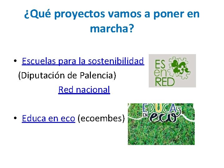 ¿Qué proyectos vamos a poner en marcha? • Escuelas para la sostenibilidad (Diputación de