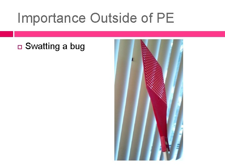 Importance Outside of PE Swatting a bug Importance Outside of PE Swatting a bug