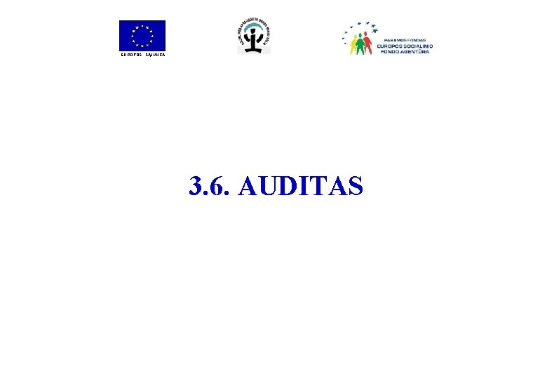 EUROPOS SĄJUNGA 3. 6. AUDITAS 