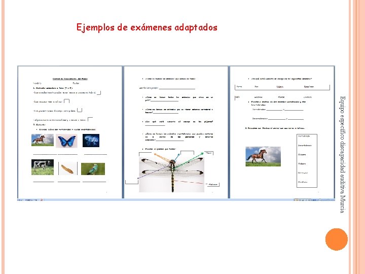 Ejemplos de exámenes adaptados Equipo específico discapacidad auditiva Murcia 