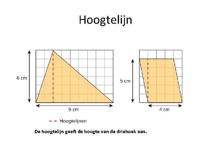 Hoogtelijn De hoogtelijn geeft de hoogte van de driehoek aan. 