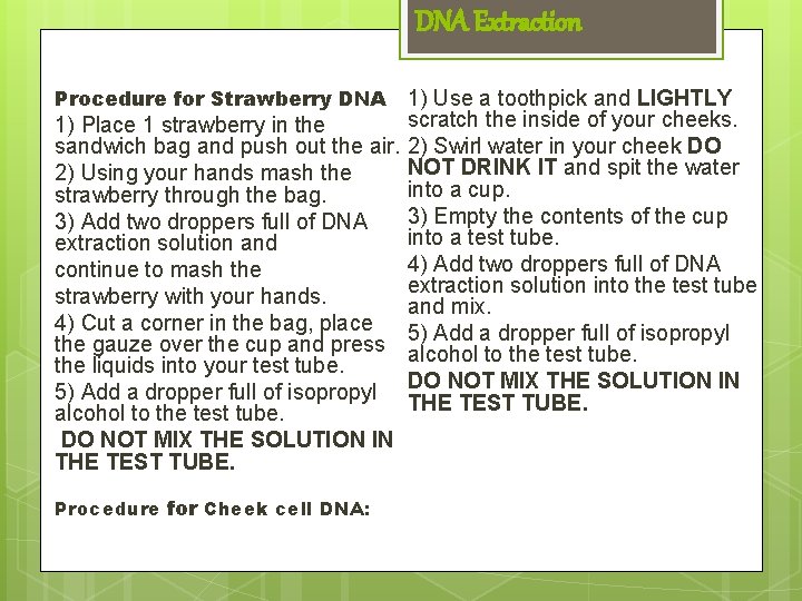 DNA Extraction Procedure for Strawberry DNA 1) Use a toothpick and LIGHTLY scratch the