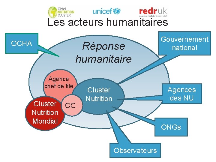 Les acteurs humanitaires OCHA Réponse humanitaire Agence chef de file Cluster CC Nutrition Mondial