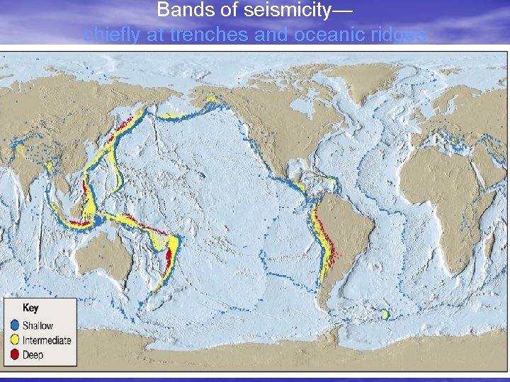 Bands of seismicity— chiefly at trenches and oceanic ridges 