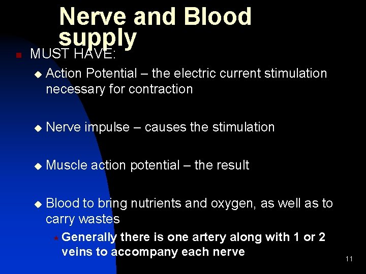 n Nerve and Blood supply MUST HAVE: u Action Potential – the electric current