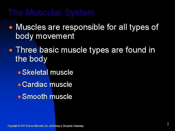 The Muscular System · Muscles are responsible for all types of body movement ·