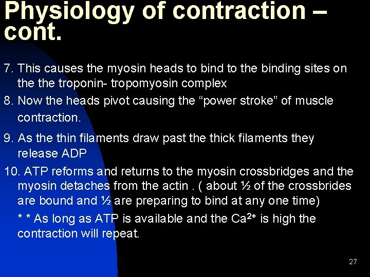 Physiology of contraction – cont. 7. This causes the myosin heads to bind to