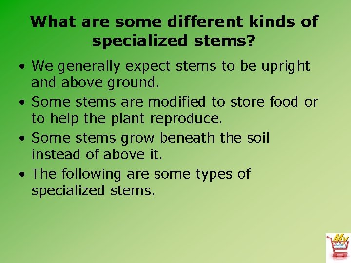What are some different kinds of specialized stems? • We generally expect stems to