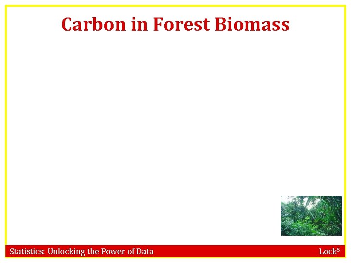 Carbon in Forest Biomass Statistics: Unlocking the Power of Data Lock 5 