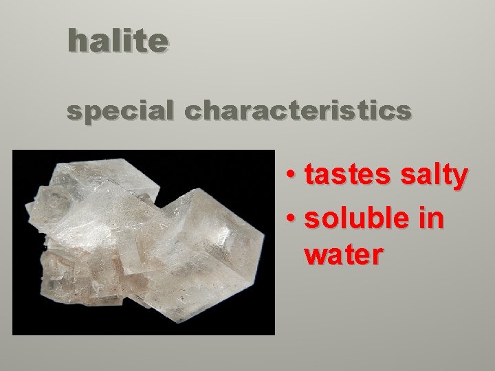 halite special characteristics • tastes salty • soluble in water 